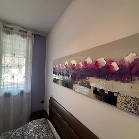 Leccio In Con Piscina Appartement
